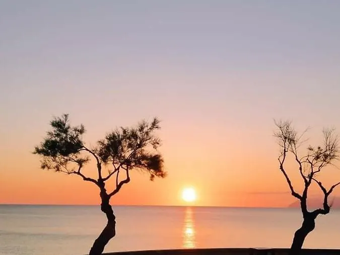 Babamas 2 Etvpl 15761 Villa Son Serra de Marina